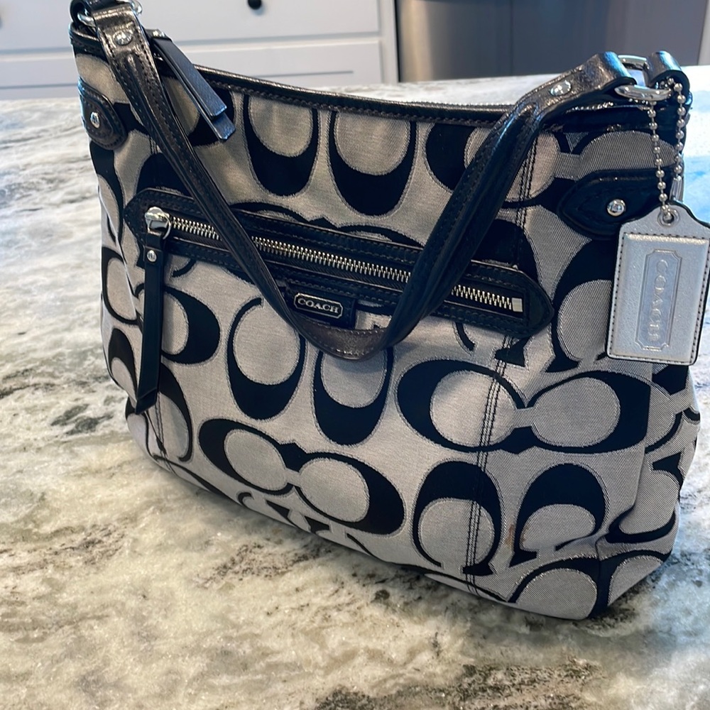 Coach Daisy Signature Outline Metallic Shoulder Hobo Bag Multicolor D1361-F23918